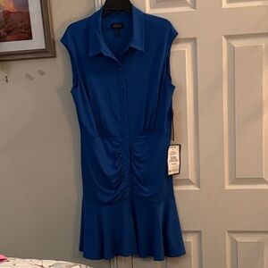 Adrianna Papell Dress